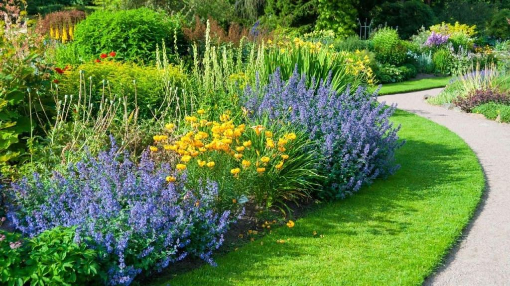 Best Plants for West Facing Gardens – Best Guide []