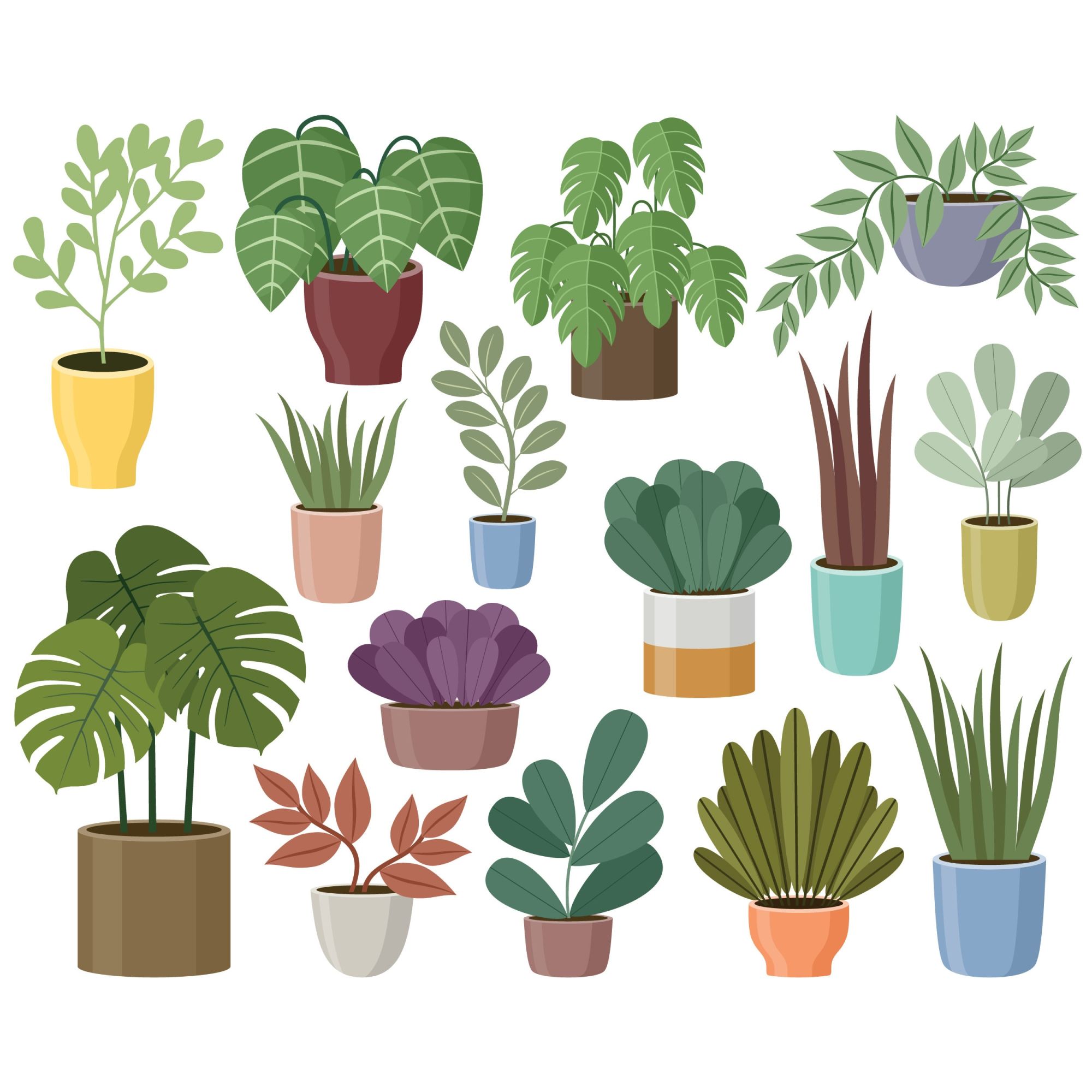 House Plants Clipart. Gardening. Vector Houseplant Graphic