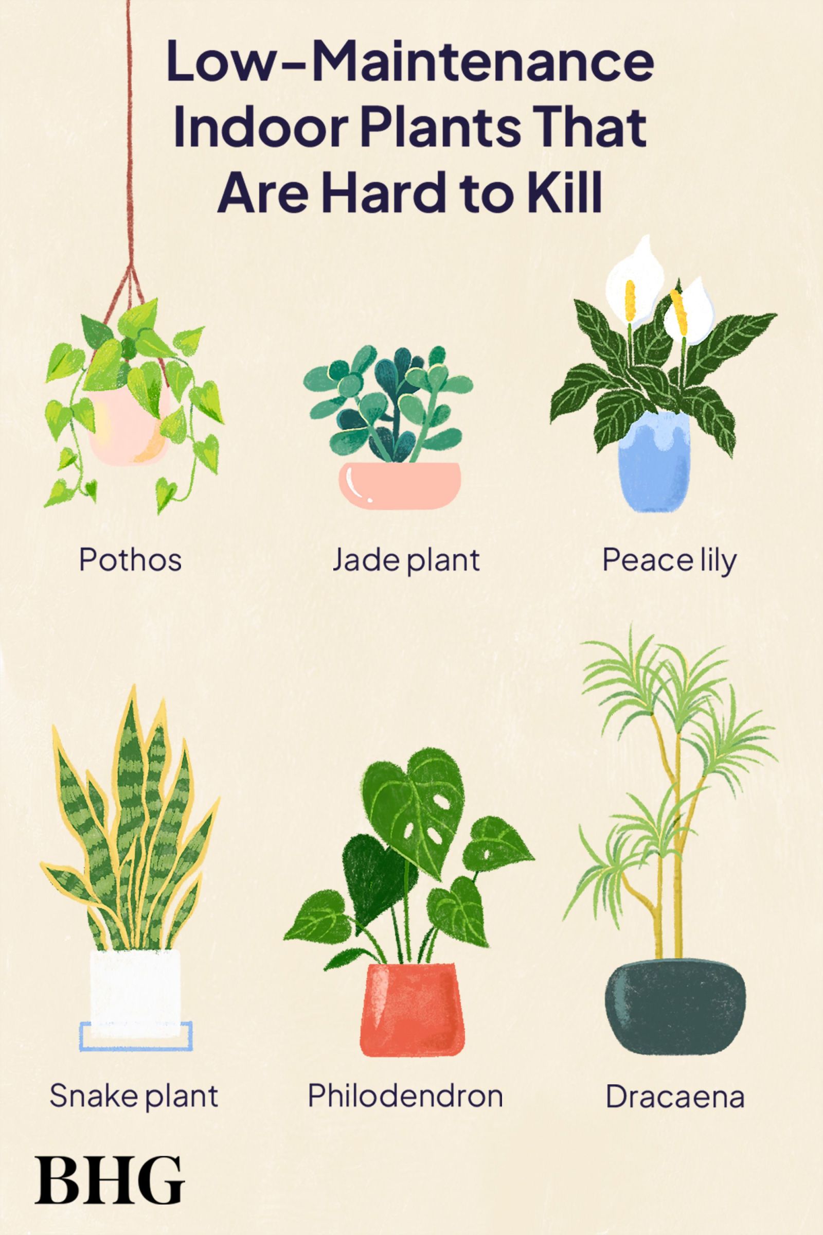 Low-Maintenance Indoor Plants that Almost Thrive on Neglect